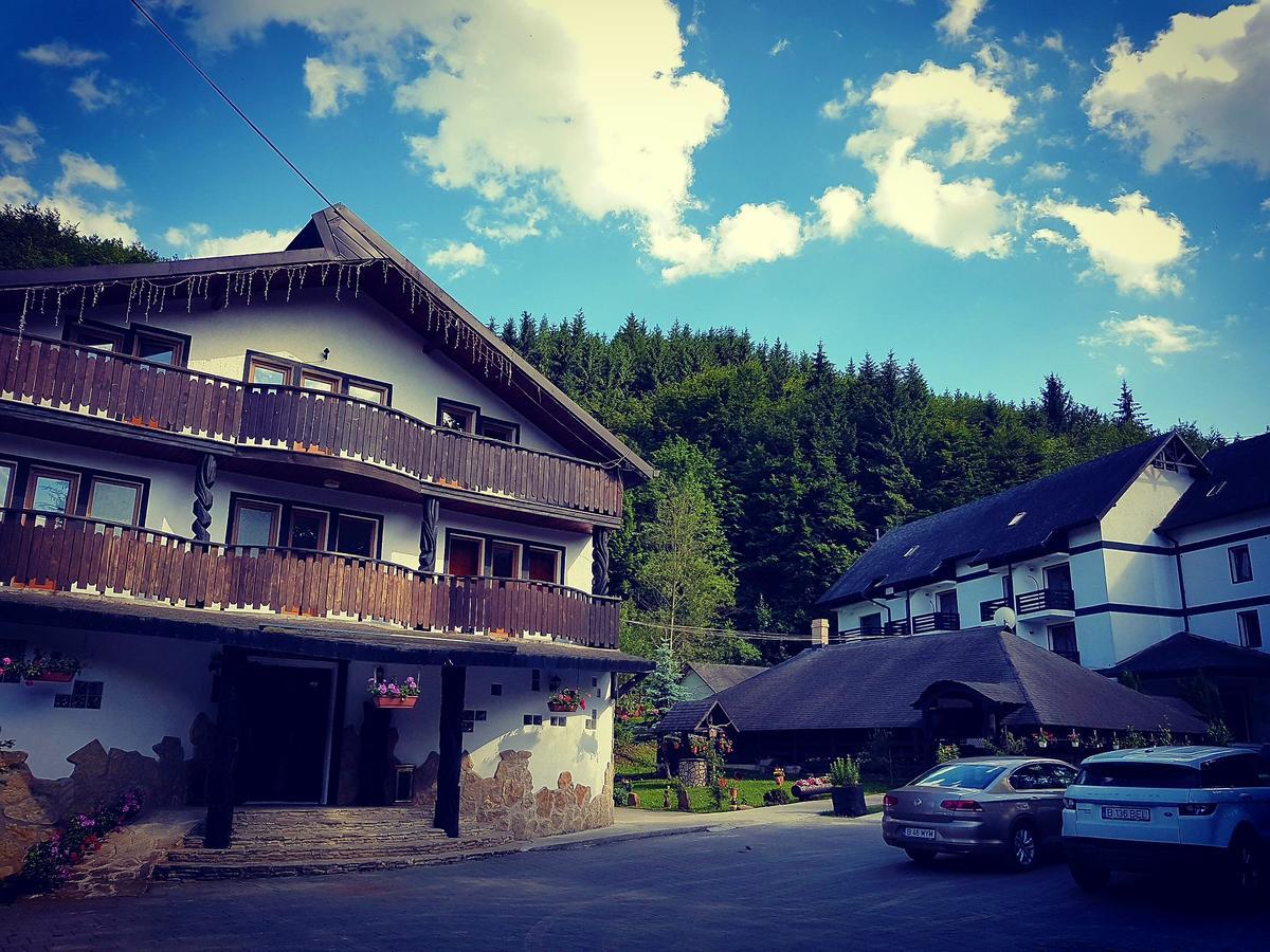 Casa Octavian Hotel Сучевица Екстериор снимка