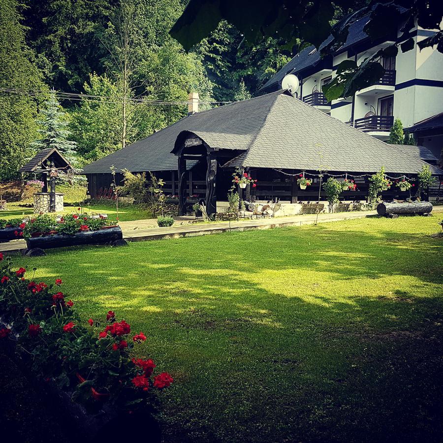 Casa Octavian Hotel Сучевица Екстериор снимка